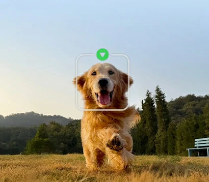ActiveTrack 8.0 — Your subject Stay Center Stage